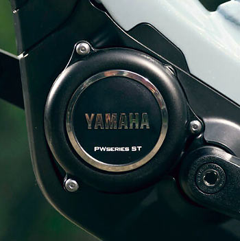 Moteur Yamaha PW-ST